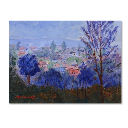 Manor Shadian 'Mystic Town' Canvas Art,14x19